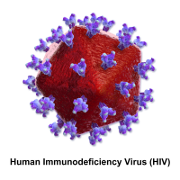 Hlavní obrázek - VZP přibylo za pět let 455 klientů s HIV