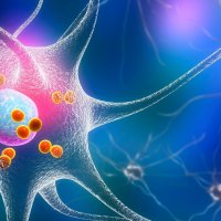 Hlavní obrázek - Blýská se na posun v diagnostice a léčbě Parkinsonovy nemoci?