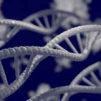 Hlavní obrázek - Mezinárodní den DNA – Co všechno o nás dnes prozradí genetika?