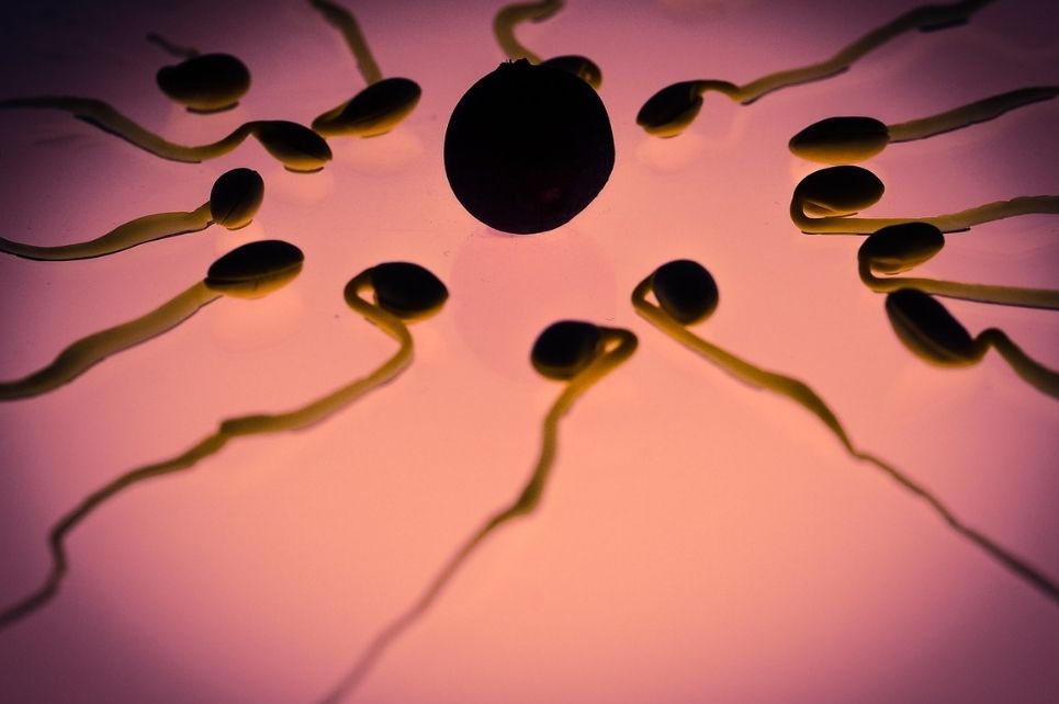Hlavní obrázek - Kryokonzervace spermatu před gonadotoxickou léčbou ve Fakultní nemocnici Brno v letech 1995–2020