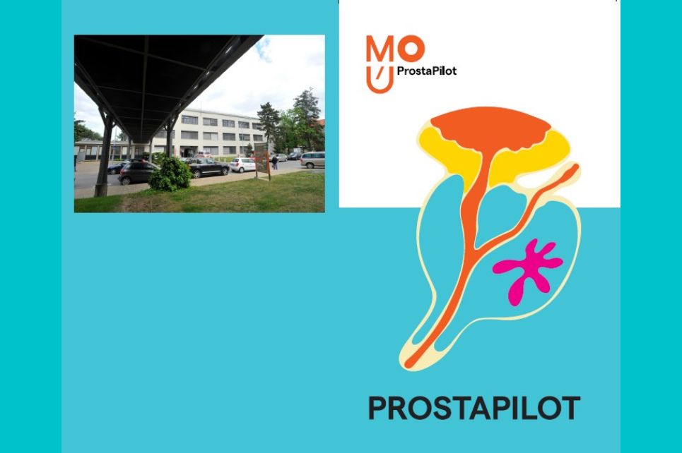 Hlavní obrázek - Studie MOÚ ProstaPilot, prevence karcinomu prostaty