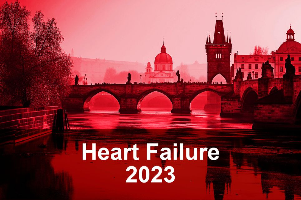Hlavní obrázek - Sportovci se srdečními problémy potřebují specializovanou péči – centra sportovní kardiologie ale fungují jen v Praze, Olomouci a Třinci