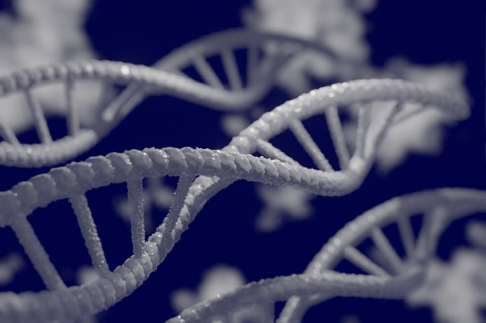 Hlavní obrázek - Mezinárodní den DNA – Co všechno o nás dnes prozradí genetika?